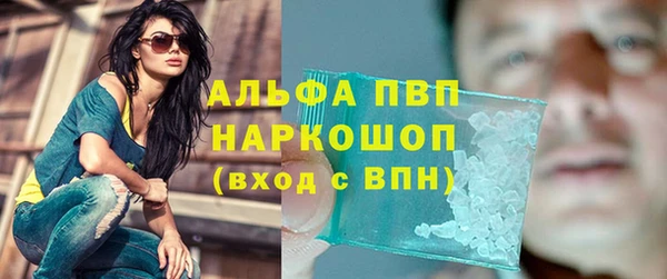 гашик Инсар
