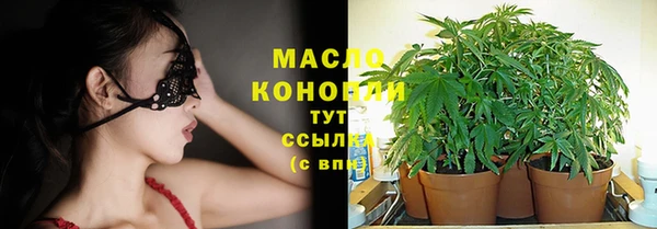 гашик Инсар