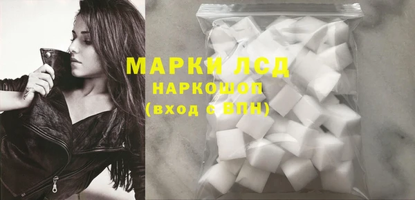 стаф Зерноград