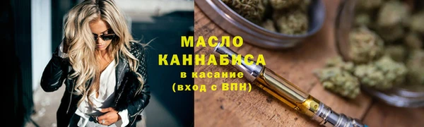 гашик Инсар