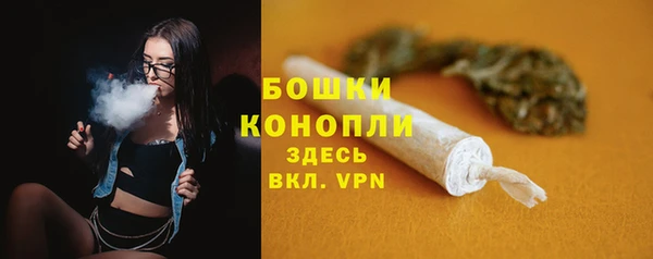 гашик Инсар