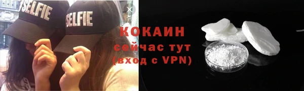 гашик Инсар