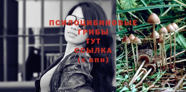 гашик Инсар
