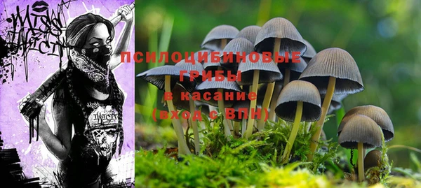 марки lsd Зеленокумск