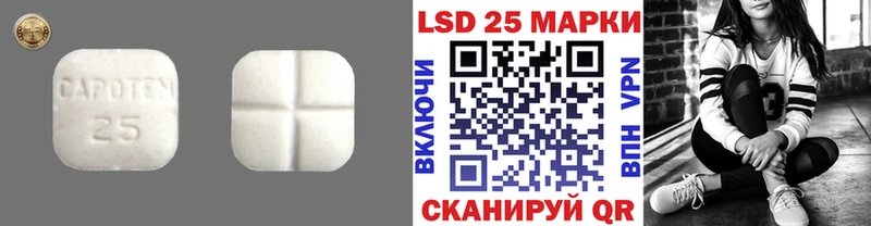 дарк нет какой сайт Каргат LSD-25 экстази ecstasy