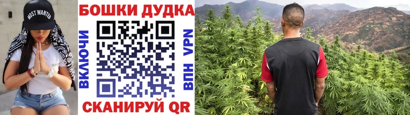 Шишки марихуана семена  Каргат 